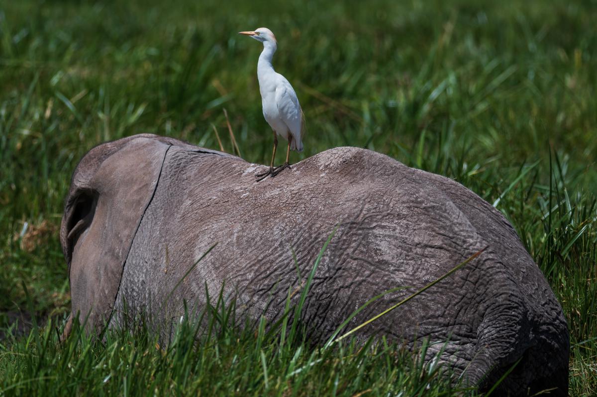 Clic pour voir les photos