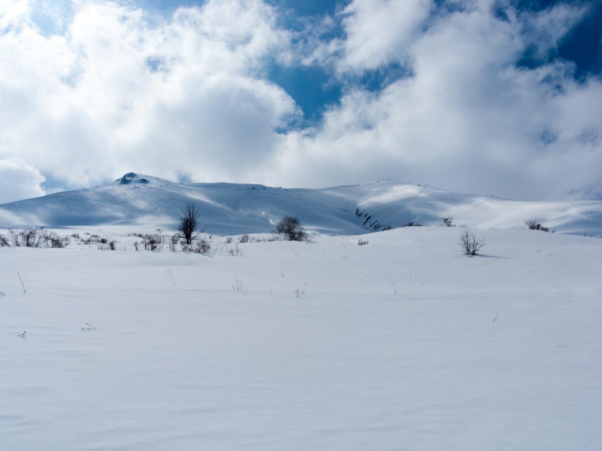 Clic pour voir les photos