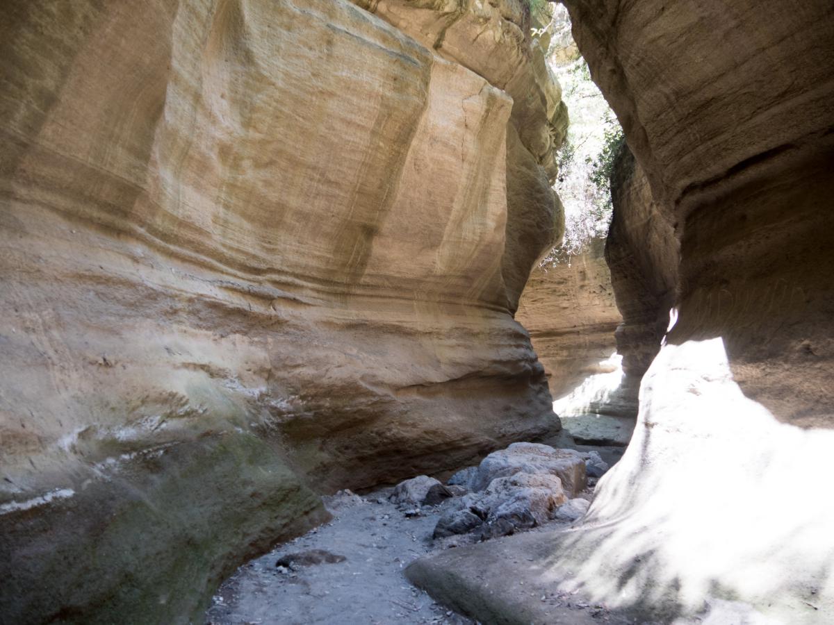 Clic pour voir les photos