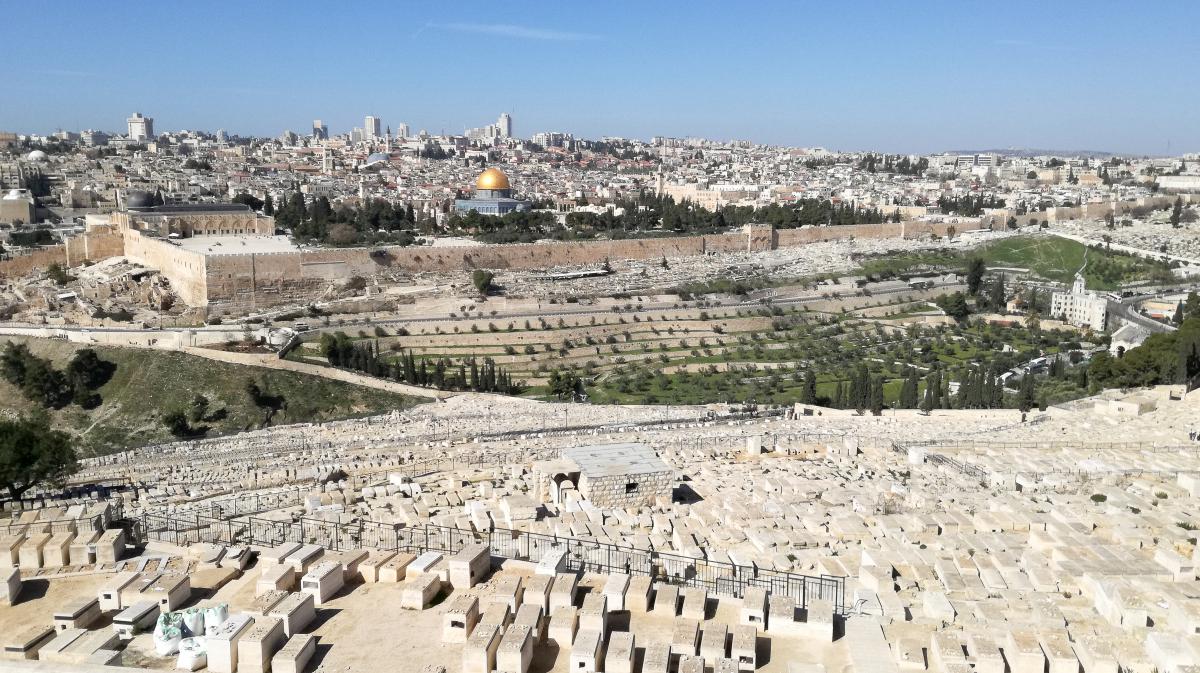 Clic pour voir les photos