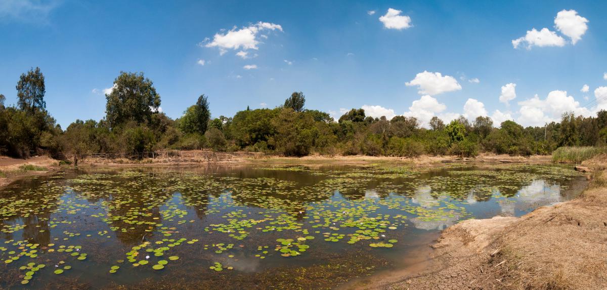 Clic pour voir les photos