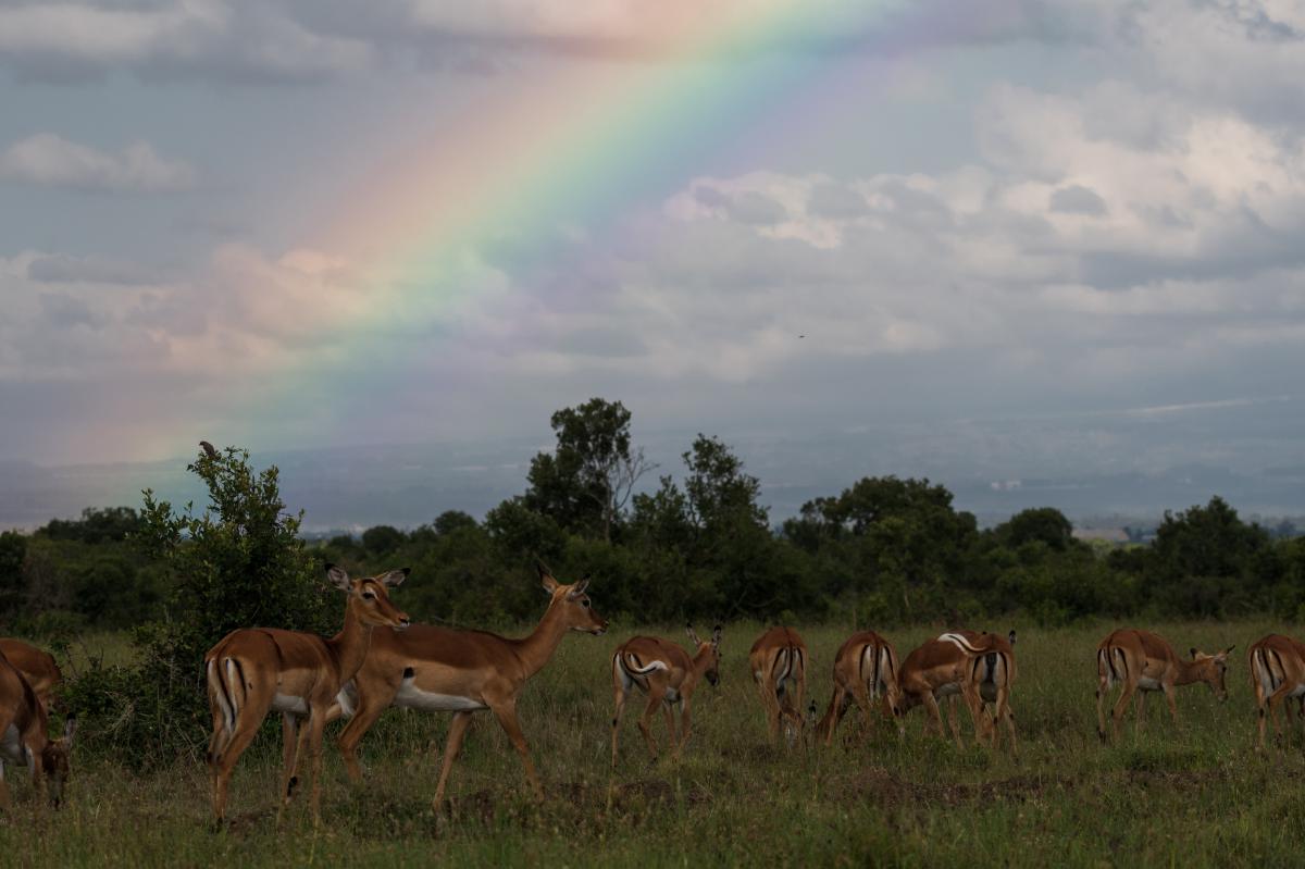 Clic pour voir les photos