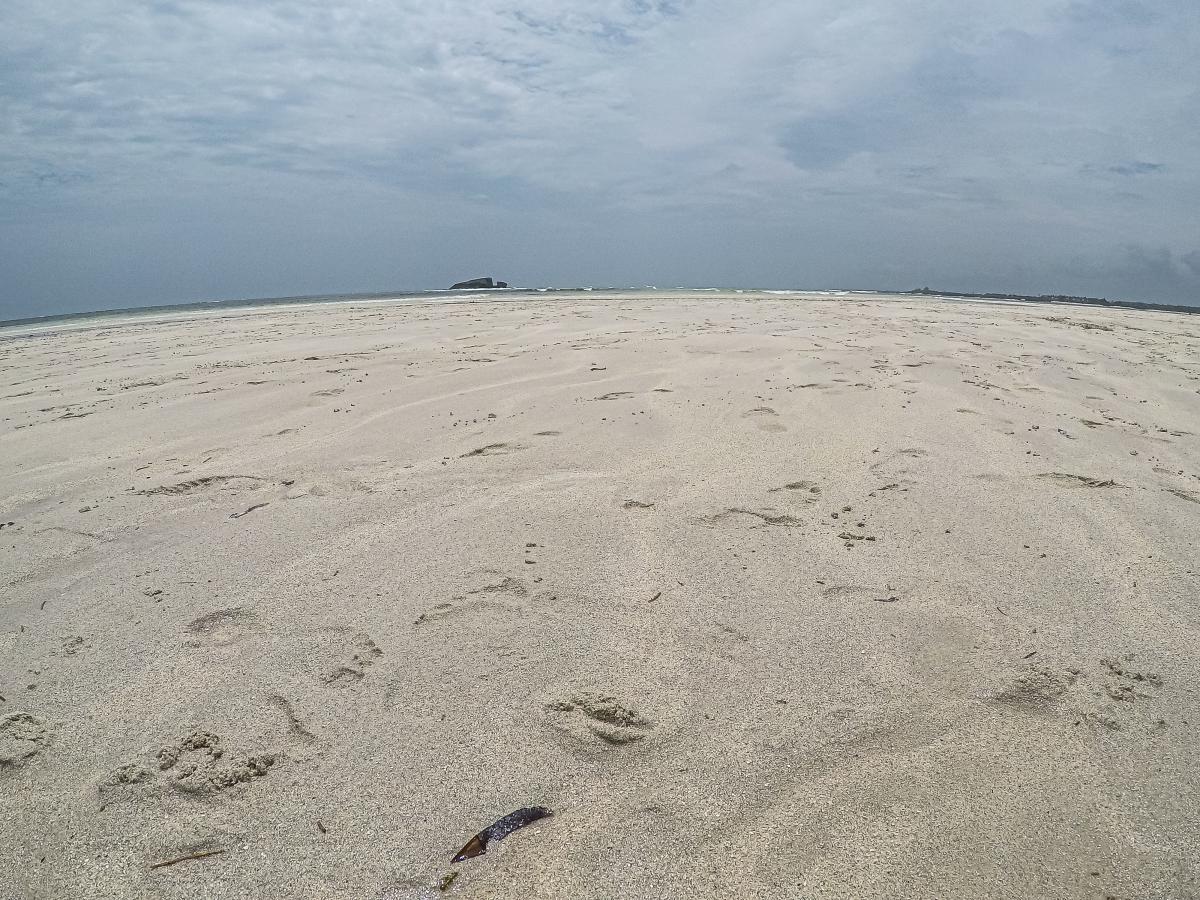 Clic pour voir les photos