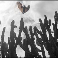 166.2 - Rwanda, 2021