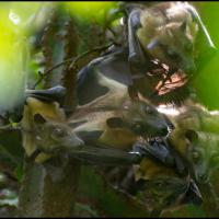 167.1 - Rwanda, 2021