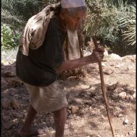 194 - Wadi Tiwi, Oman, 2013