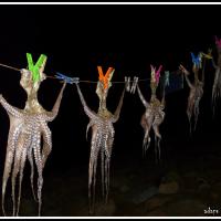 324 - Creta, Greece, 2023